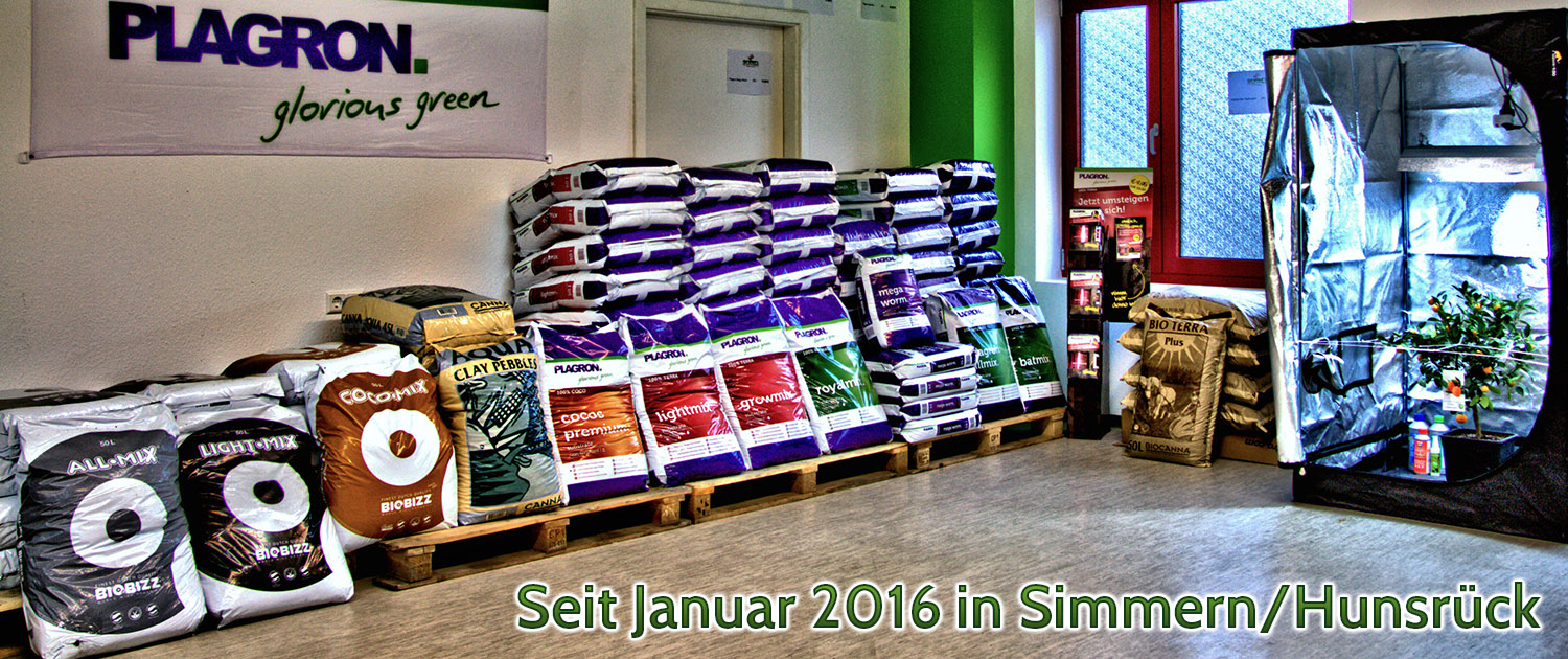 Beschreibung des Bildes